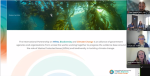 JNCC's Sarah Harrison presents work from the International Partnership on MPAs, Biodiversity and Climate Change at the MPAAP meeting.